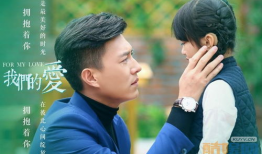 电视剧我们的爱全集,跨越时光的亲情与爱情交响曲