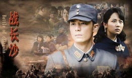 抗日题材电视剧,抗日英雄的壮丽征程
