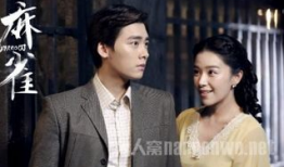 麻雀电视剧演员表,实力派明星齐聚演绎谍战风云