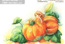 南瓜动漫,奇幻世界中的奇幻之旅