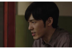 电视剧 真相,揭开尘封的谜团，探寻人性的光辉