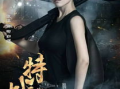 特战王妃电视剧,烽火柔情，战地玫瑰传奇