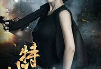 特战王妃电视剧,烽火柔情，战地玫瑰传奇