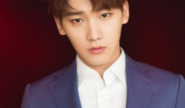 邢昭林的电视剧大全,多面角色演绎，魅力无限