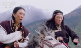 藏族电视剧,藏地风华传奇