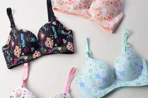 性感内衣动漫,性感内衣动漫风情解析