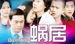 买房电视剧,都市青年的奋斗与抉择