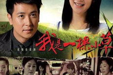 推荐好电视剧,盘点近期必看电视剧推荐