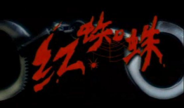 纪实破案电视剧有哪些,探寻真相的惊心动魄之旅