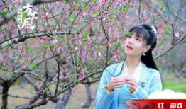 花间提壶大厨电视剧,花间提壶大厨的匠心烹饪传奇