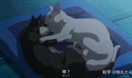 gay片动漫,探索同性恋题材的视觉盛宴