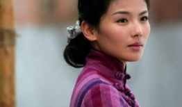 刘涛电视剧大全,从古装佳人到现代都市女性的华丽蜕变