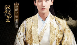 邢昭林的电视剧大全,多面角色演绎，魅力无限