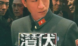 潜伏电视剧演员表,实力派明星齐聚，演绎谍战风云