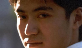 山里红电视剧演员表,实力派明星齐聚演绎感人故事