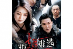 插翅难逃电视剧,命运交织的逃亡之路