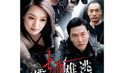 插翅难逃电视剧,命运交织的逃亡之路