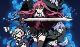 神圣骑士动漫,荣耀与救赎的传奇之旅